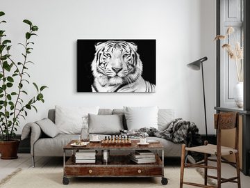 Sinus Art Leinwandbild 120x80cm Wandbild auf Leinwand Weißer Tiger Porträt Schwarz Weiß Tierf, (1 St)