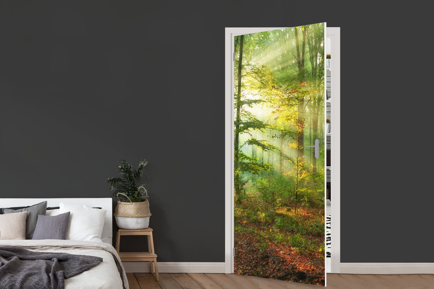 bedruckt, Fototapete Bäume Türaufkleber, Herbst, Wald Sonne (1 Türtapete Tür, - St), Natur - für - cm Matt, - MuchoWow 75x205