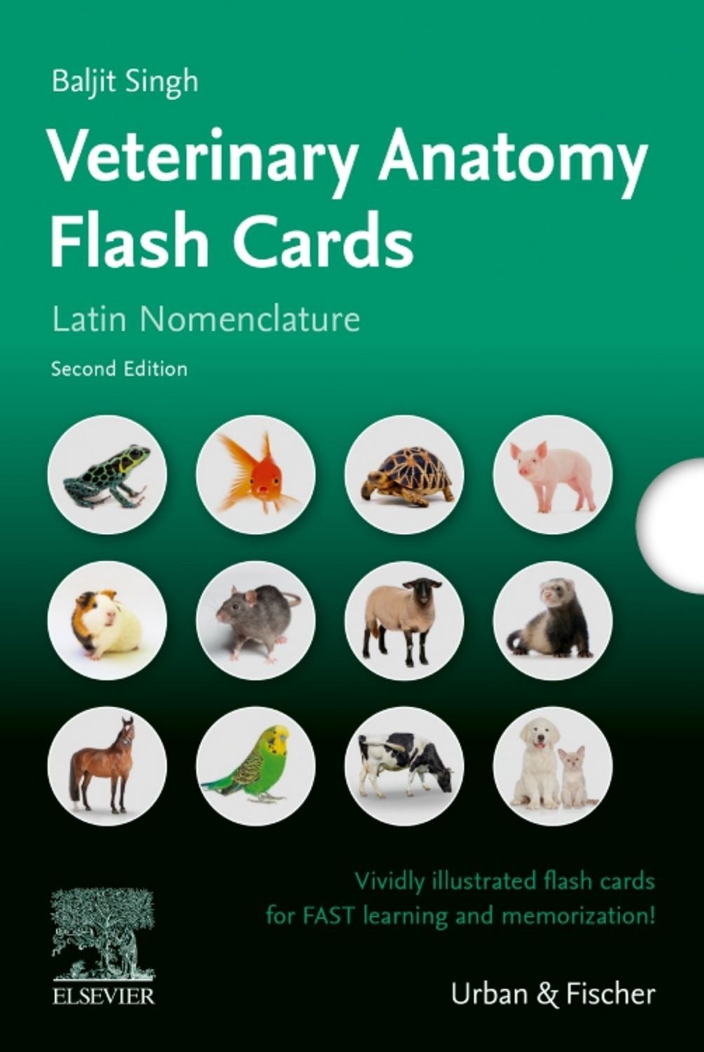 Lernkarten Veterinäranatomie / Veterinary Anatomy Flash Cards / Baljit Singh