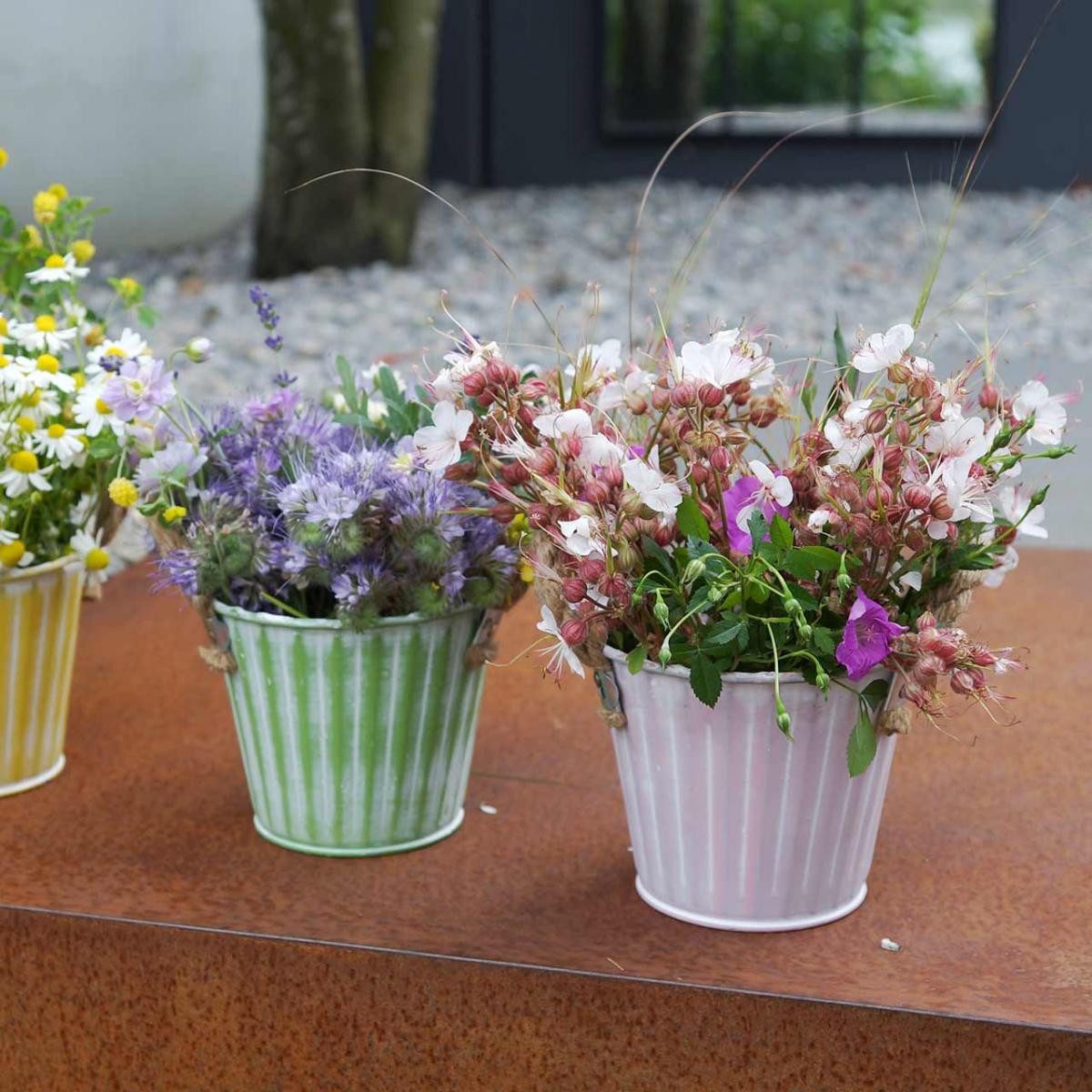 Florists Products Übertopf Pflanzeimer Metalltopf 3er-Set Ø12cm H10cm Shabby Chic, 3 Stück