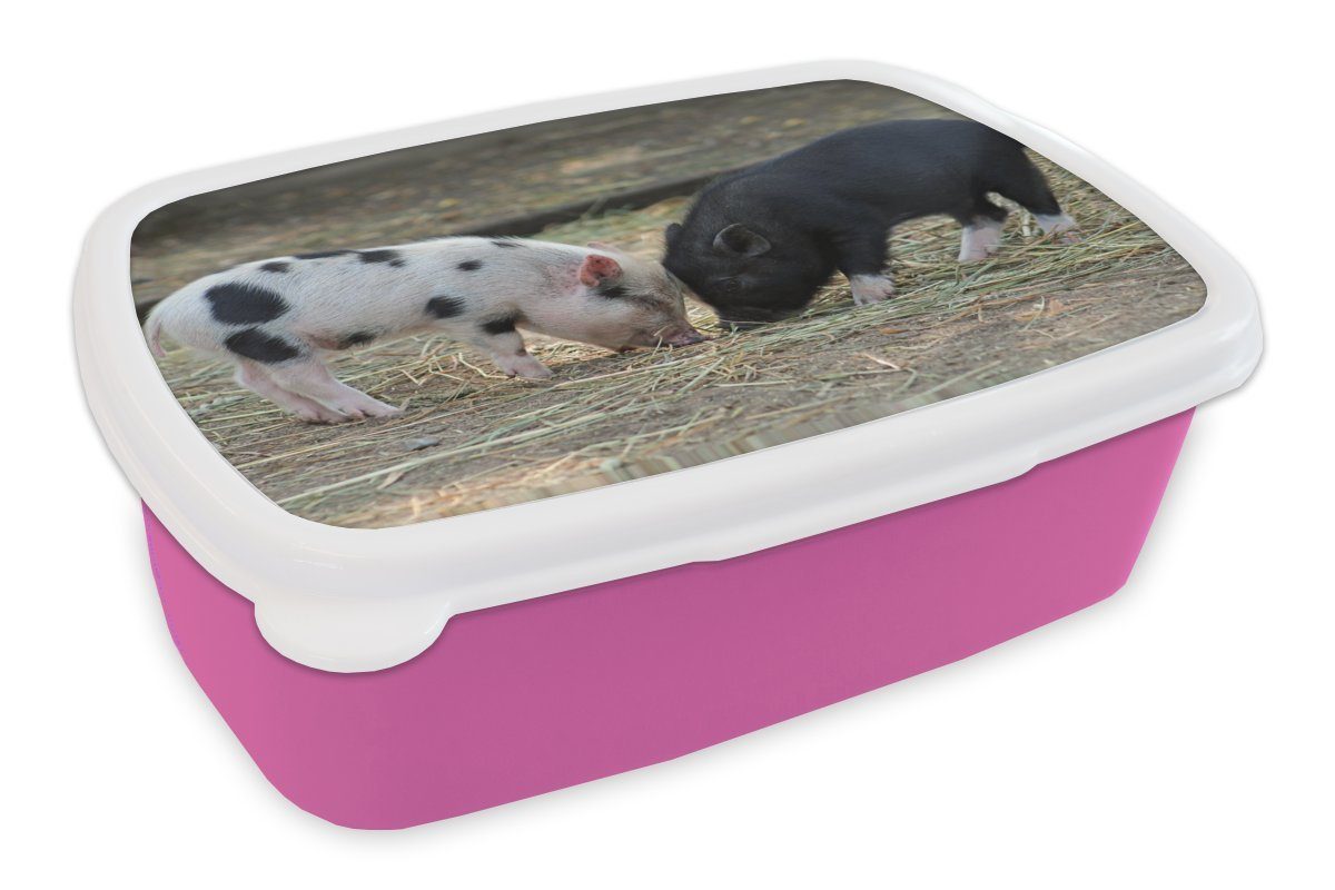 (2-tlg), Kunststoff, Ferkel - Stroh, für Erwachsene, Kunststoff Brotdose Snackbox, Brotbox - rosa Schweine Kinder, Mädchen, MuchoWow Lunchbox