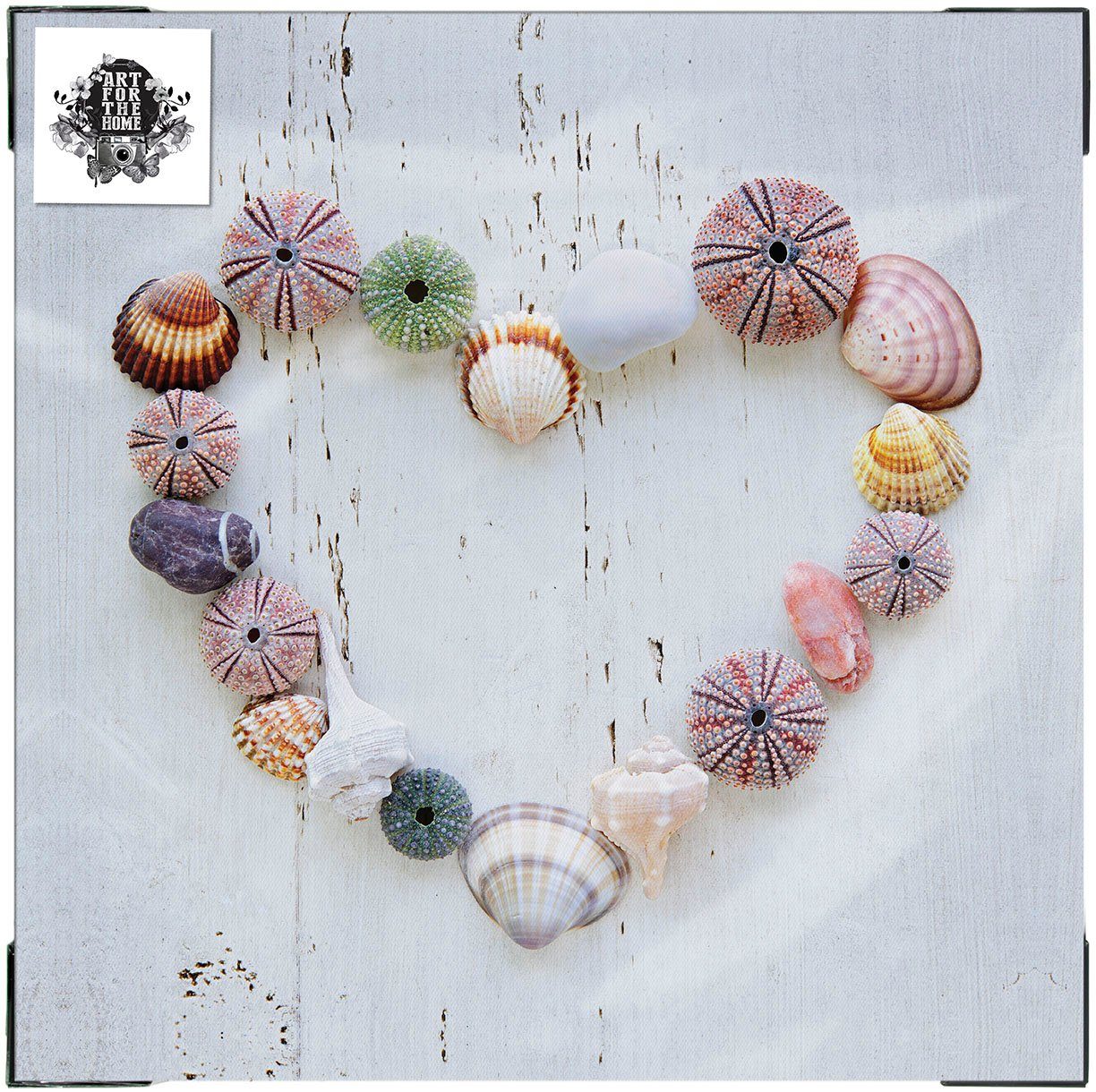 Art for the home Leinwandbild Outdoor Muschelherz 50x70cm, Romantisch, Strand (1 St), Leinwand für draußen -Muschelherz - 50x50cm