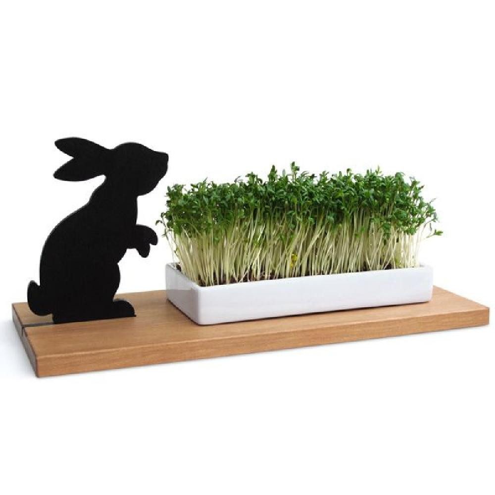 side by side Osterhase Kresseschale Hase