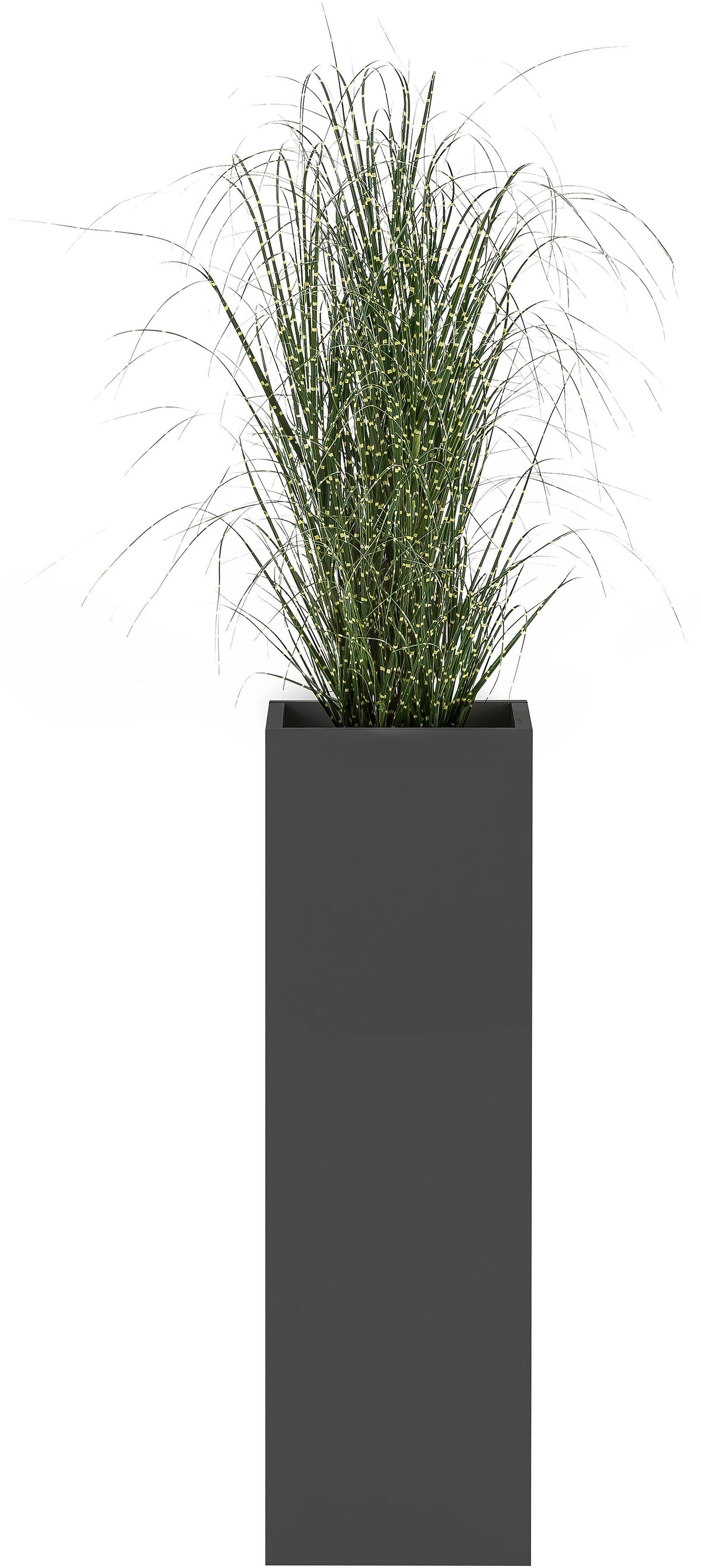 Schildmeyer Blumenkasten Serie 1500 günstig online kaufen