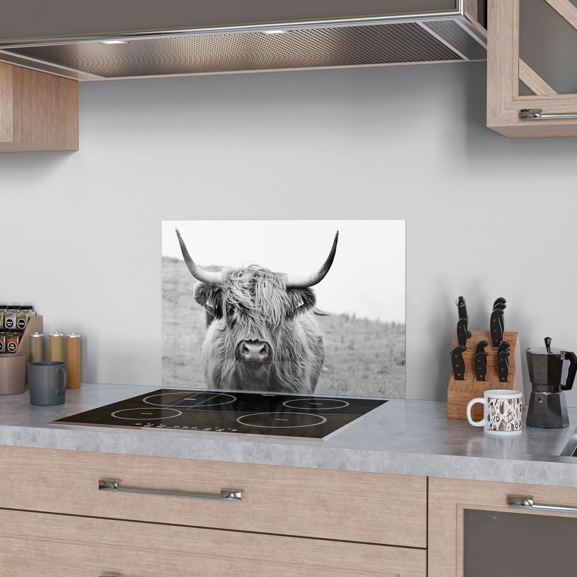 DEQORI Küchenrückwand 'Zotteliges Hochlandrind', Glas Spritzschutz Badrückw günstig online kaufen