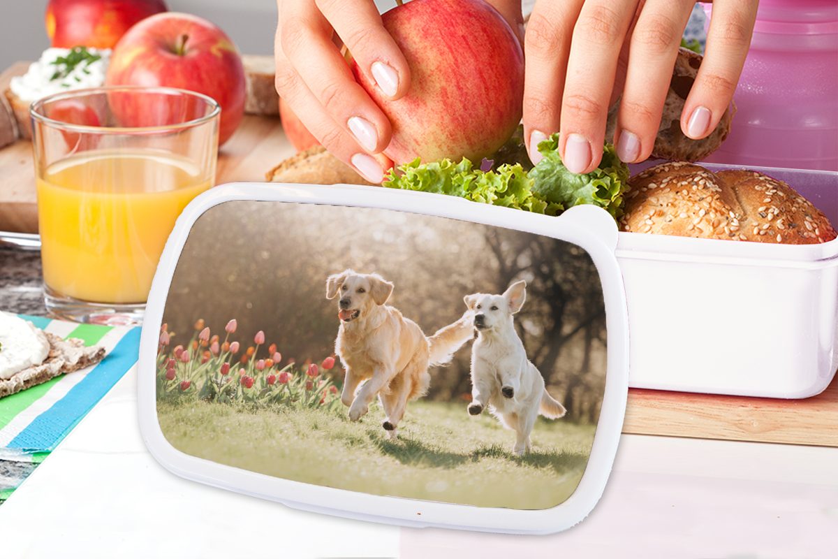 für Kunststoff, Kinder Frühling, Sonne Brotdose, Erwachsene, und (2-tlg), - Lunchbox Hunde Mädchen und MuchoWow für - Jungs weiß Brotbox