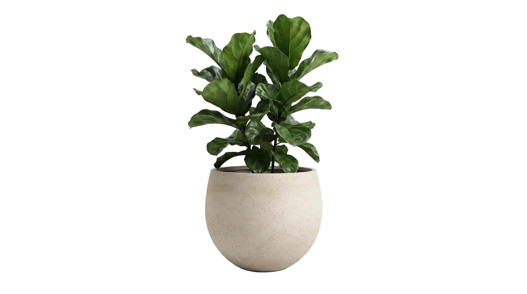 aplanta Blumentopf Pflanztopf Sandro beige, 28X23