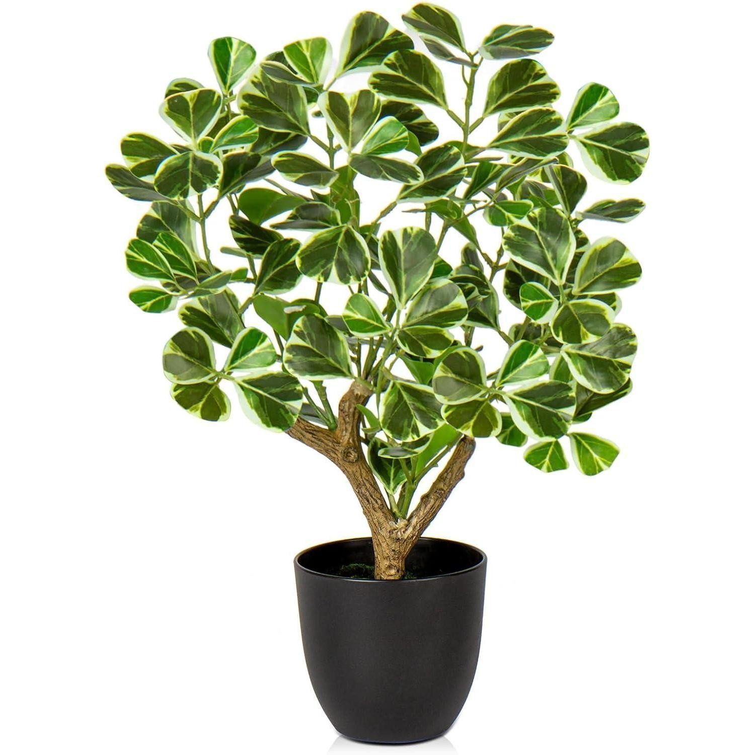 Künstliche Zimmerpflanze 43CM Künstliche Ficus Kunstpflanze im Schwarzem Topf - Dekopflanze, Briful
