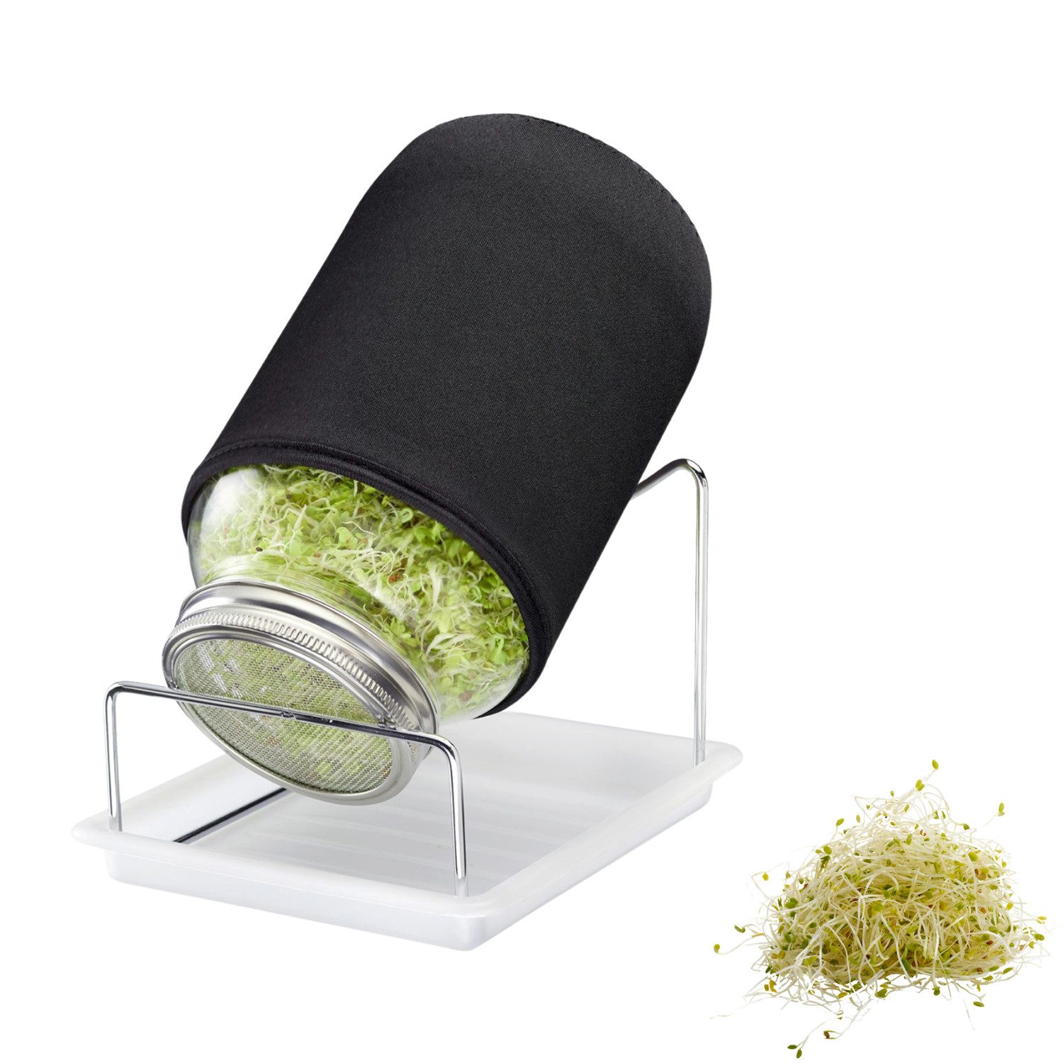 WESTMARK Anzuchttopf Sprossenglas-Set, 1 Glas, 2000 ml