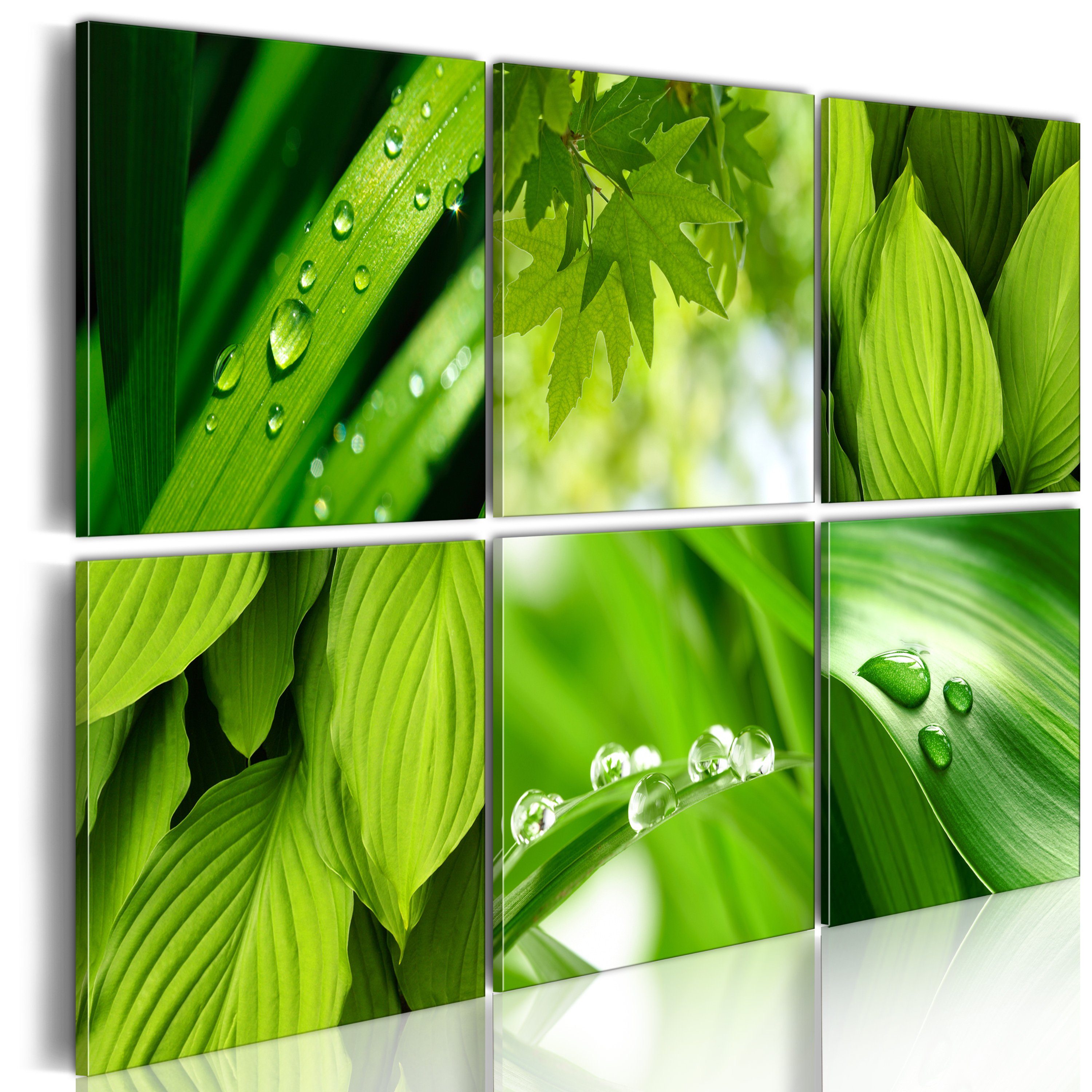 Artgeist Wandbild Saftige grüne Blätter