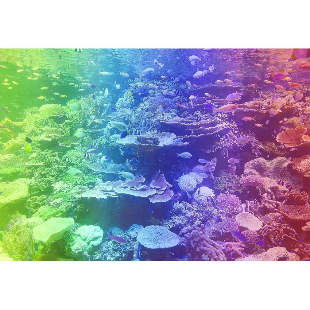 Wooden City Puzzle Holzpuzzle Coral Reef 2in1, 400 Teile ECO, Puzzleteile
