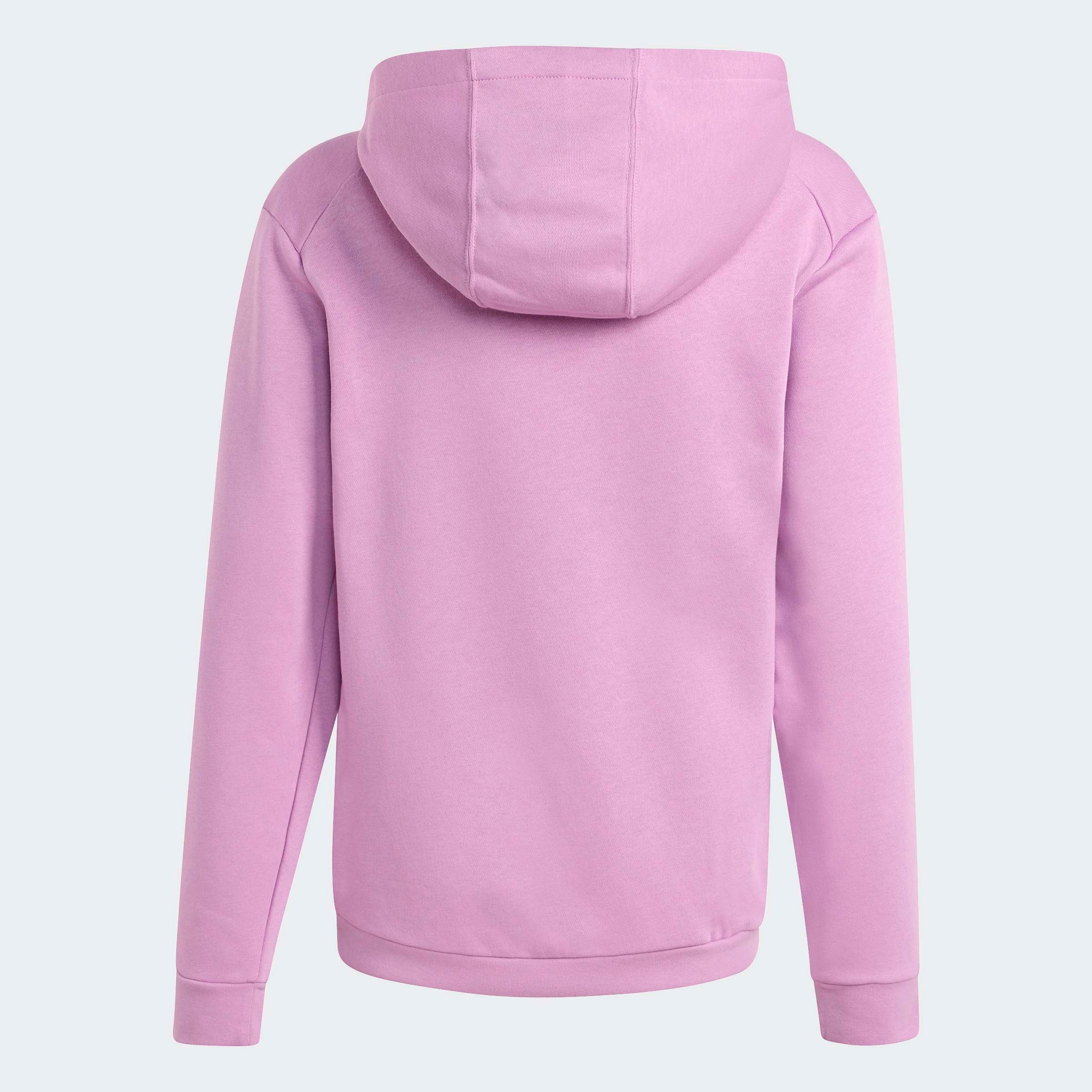 adidas TERREX Kapuzensweatshirt K MT LOGO HD
