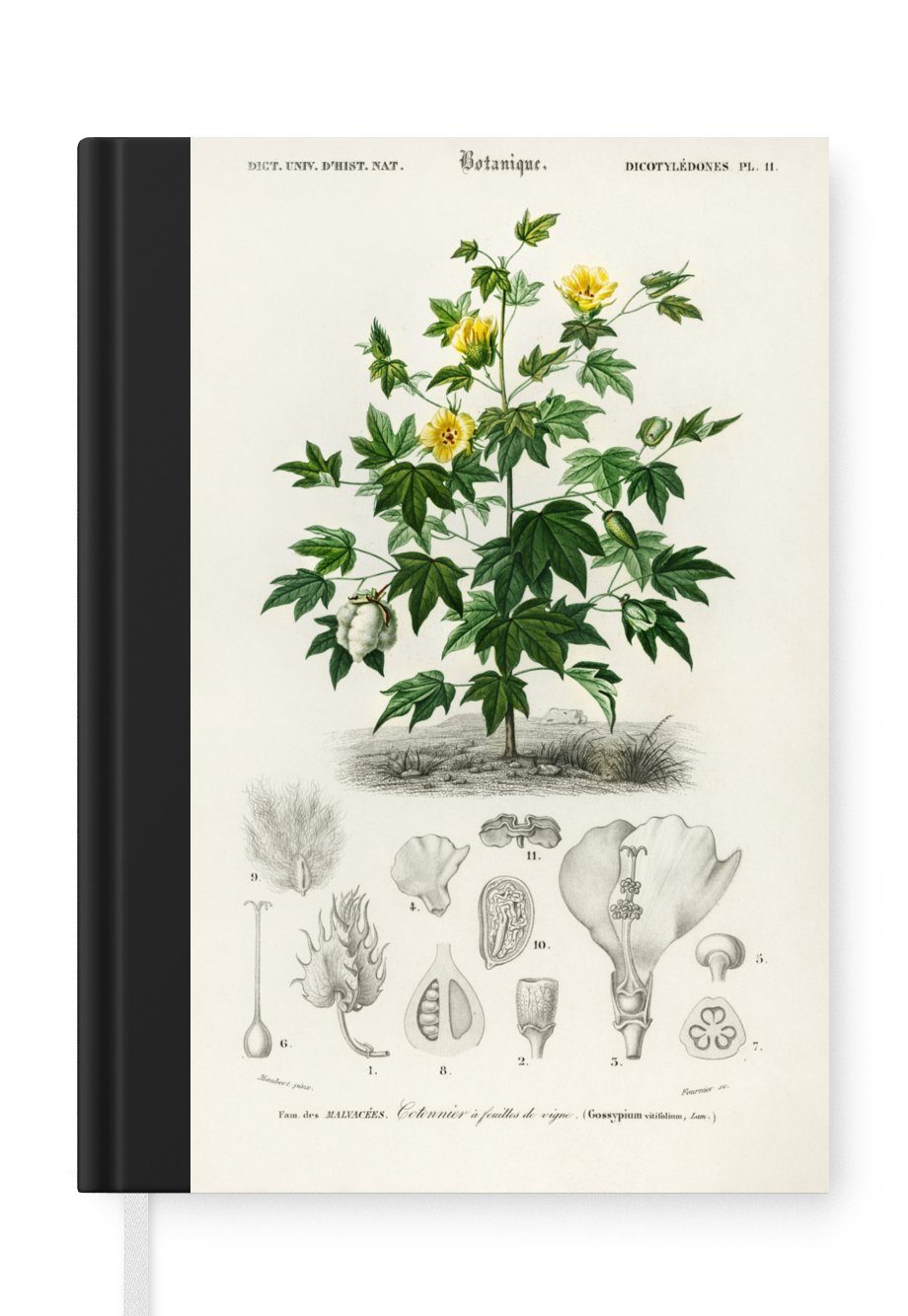 MuchoWow Haushaltsbuch Pflanze Seiten, Notizheft, Botanik, Blume Journal, Notizbuch A5, 98 Tagebuch, Merkzettel, - -