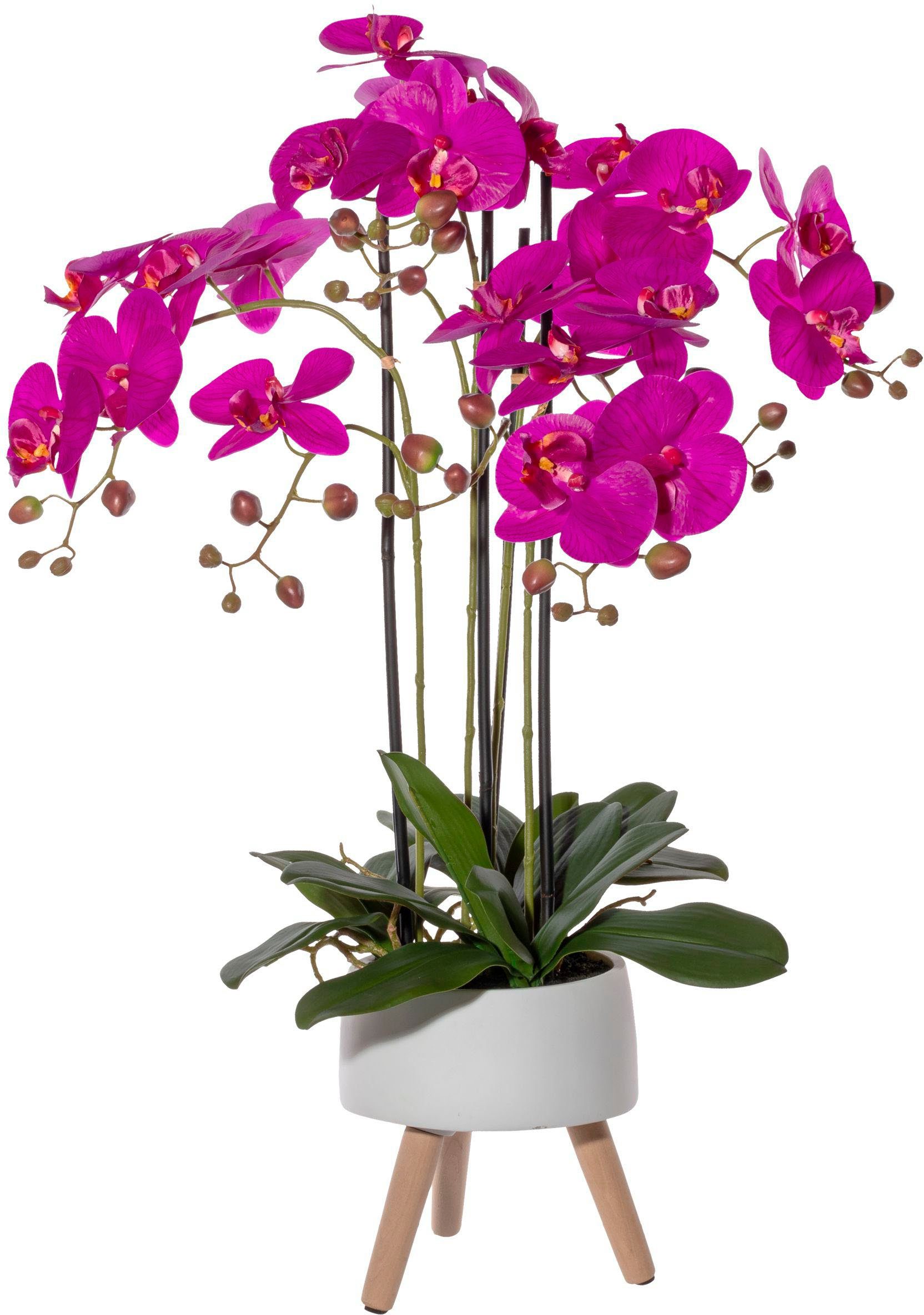 Kunstorchidee Orchidee Phalaenopsis in Keramikschale mit auf cm, Real-Touch-Blüten Höhe und green, Creativ Orchidee Füßen Phalaenopsis, 75