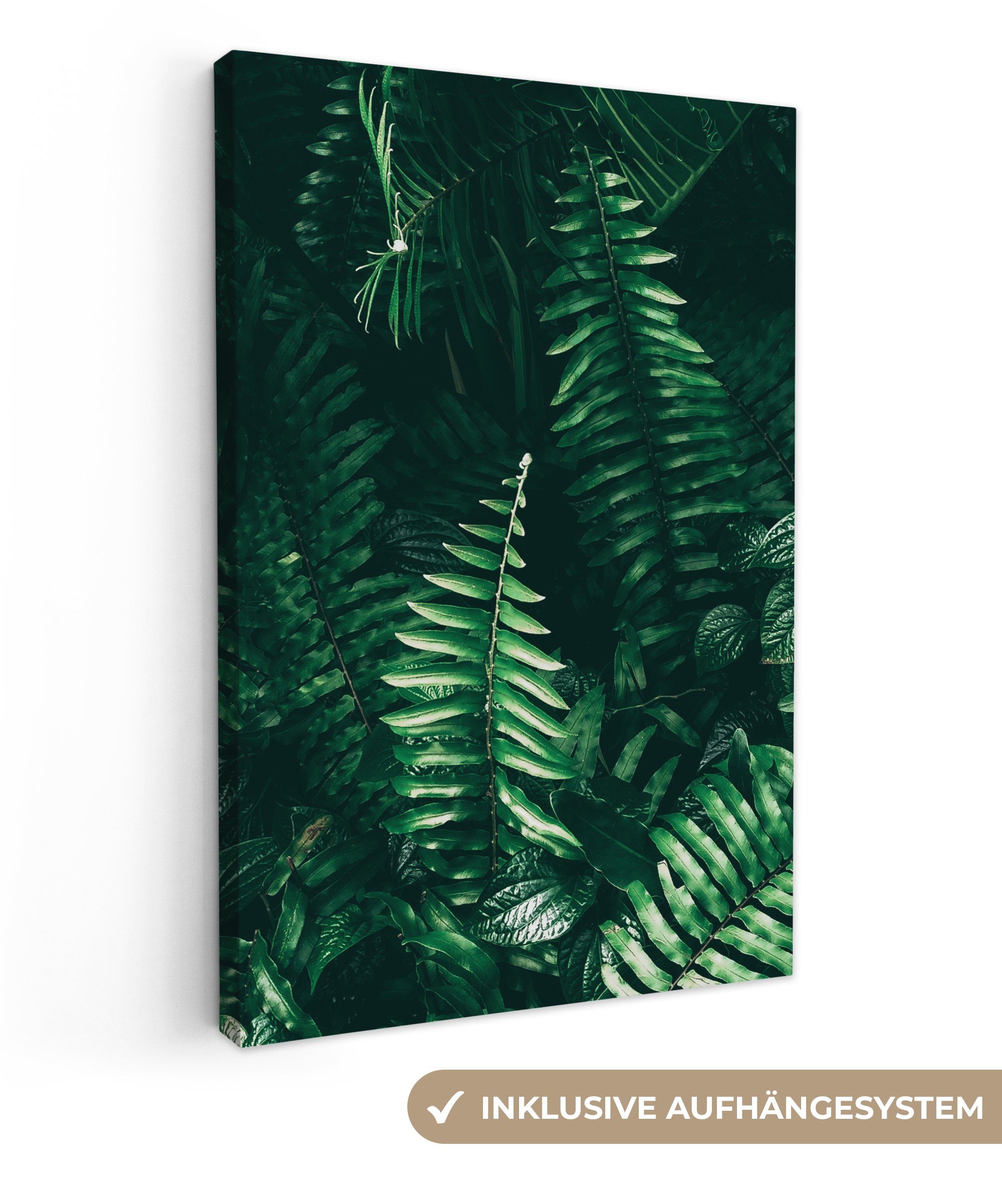 OneMillionCanvasses® Leinwandbild Blätter - Dschungel - Natur - Tropisch - günstig online kaufen