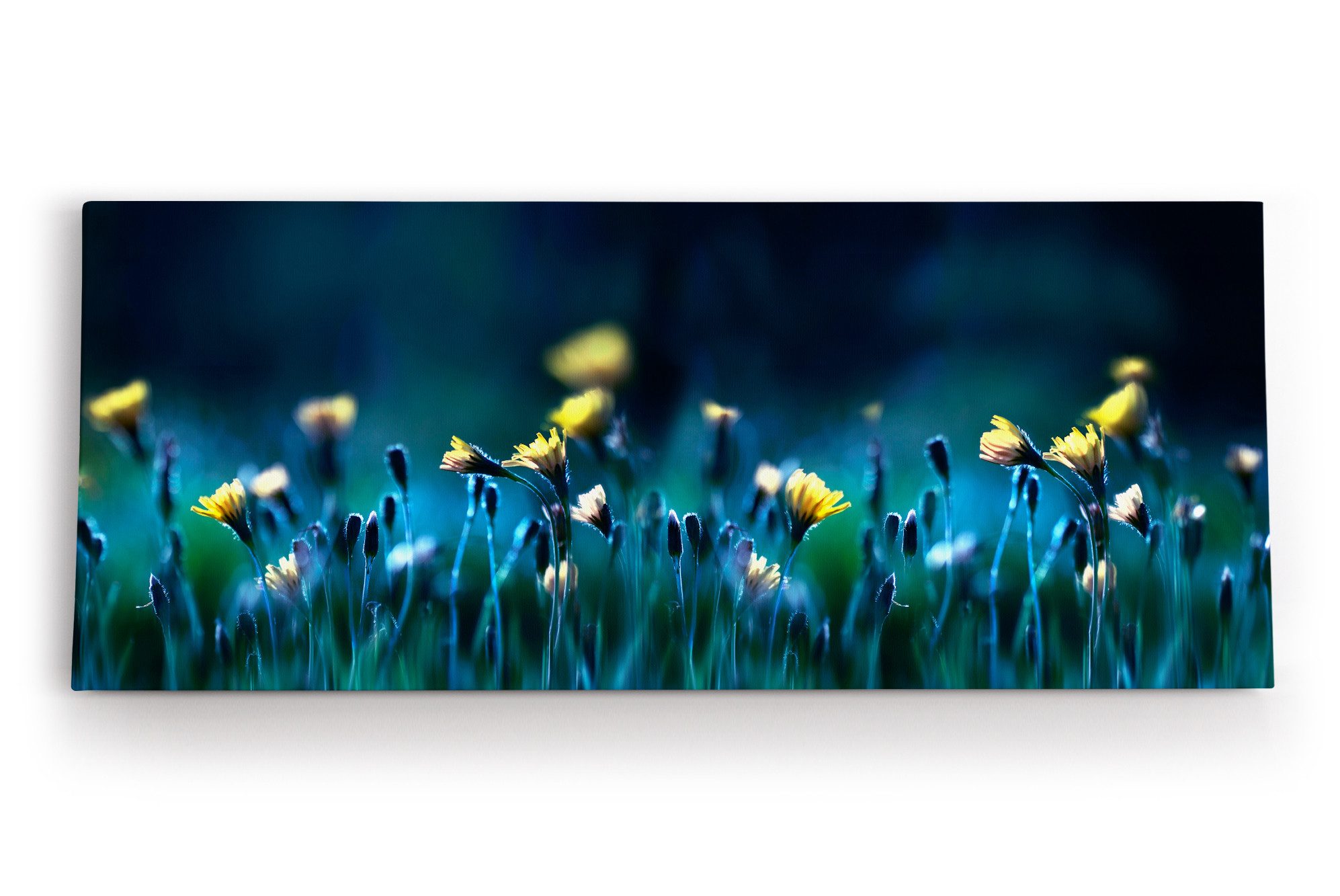 Leinwandbild Blumen Blumenfeld Wildblumen gelbe Blüten Kunstvoll