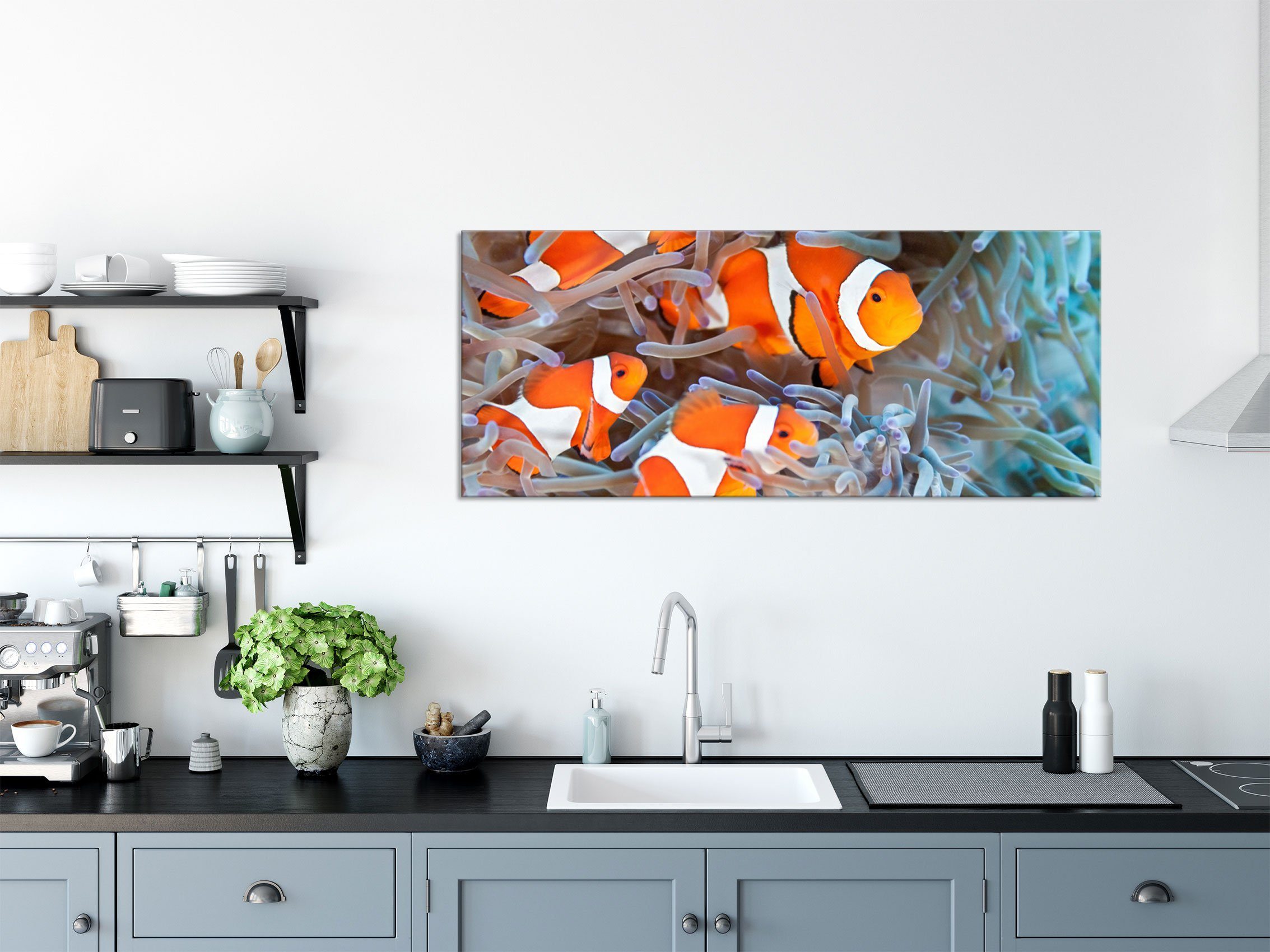Glasbild inkl. Anemone Echtglas, Clownsfische Anemone, (1 Clownsfische in Aufhängungen in Glasbild Pixxprint und aus Abstandshalter St),