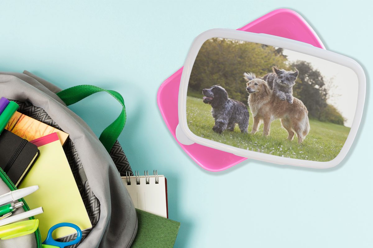 Mädchen, - Gras, Erwachsene, MuchoWow (2-tlg), Hund für Lunchbox Brotbox Snackbox, Brotdose Kunststoff rosa Park - Kunststoff, Kinder,