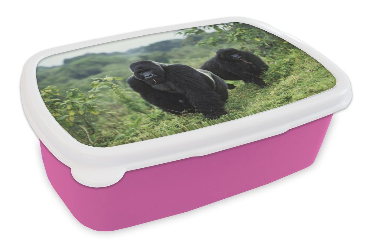 grünen Erwachsene, Zwei Mädchen, gefärbte (2-tlg), einer Kunststoff, schwarz in Lunchbox Brotdose Kunststoff MuchoWow für rosa Gorillas Kinder, Snackbox, Umgebung, Brotbox