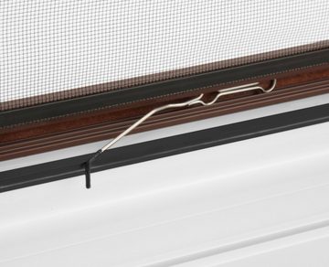 hecht international Insektenschutz-Fensterrahmen COMPACT, braun/anthrazit, flächenbündig, BxH: 100x120 cm