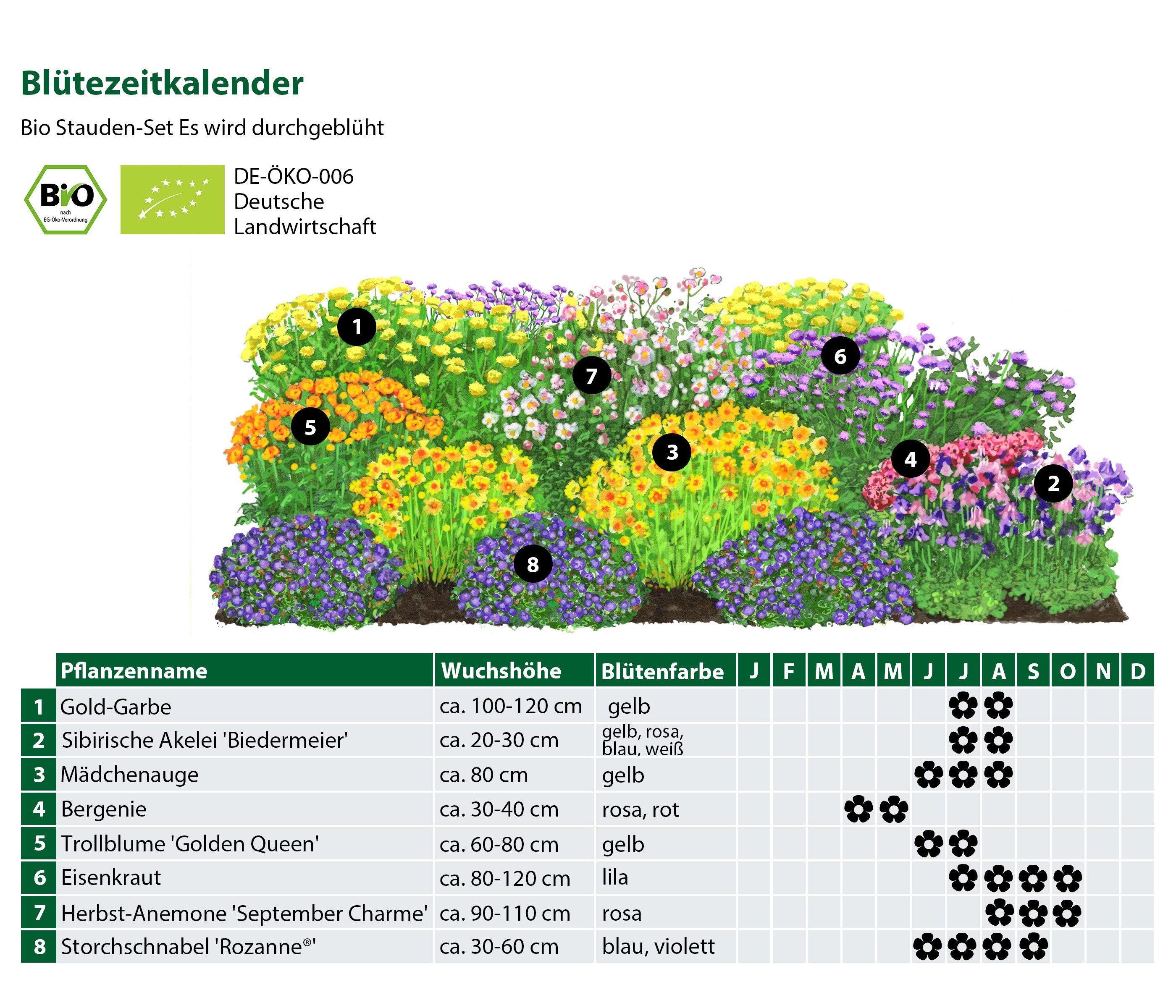 Dehner Staude Bio Stauden-Set Es wird durchgeblüht, Größe je 3-20 cm, je 3x 8 verschiedene Gartenstauden, insgesamt 24 mehrjährige Pflanzen