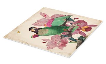 Posterlounge Forex-Bild Mandy Reinmuth, Exotische Papageien VIII, Wohnzimmer Orientalisches Flair Malerei