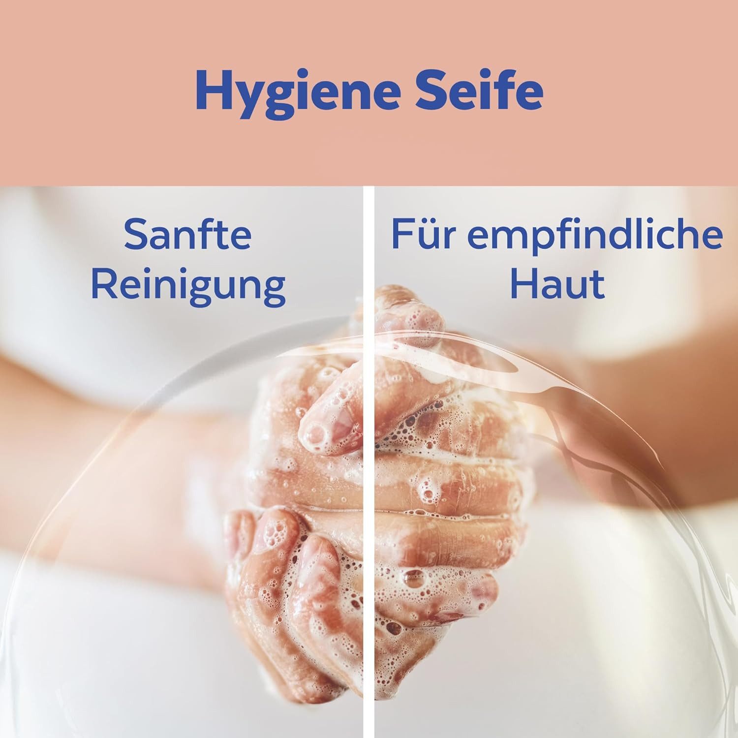 SAGROTAN Flüssigseife 5x Sagrotan Hygiene Seife Hautpflege Formel, Frosted Citrus 250ml, 5-tlg., Limitierte Edition