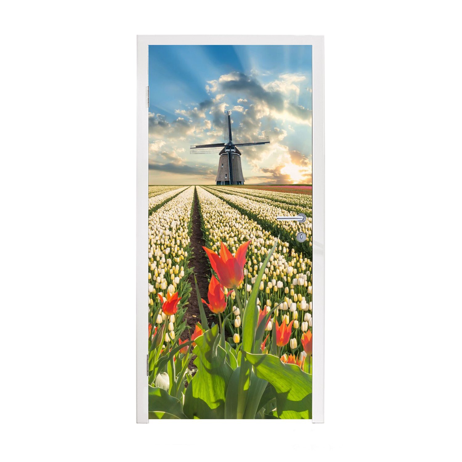 Türaufkleber, MuchoWow bedruckt, cm - für - St), 75x205 Tür, Matt, (1 Tulpen - Türtapete Himmel Natur, Fototapete Windmühle