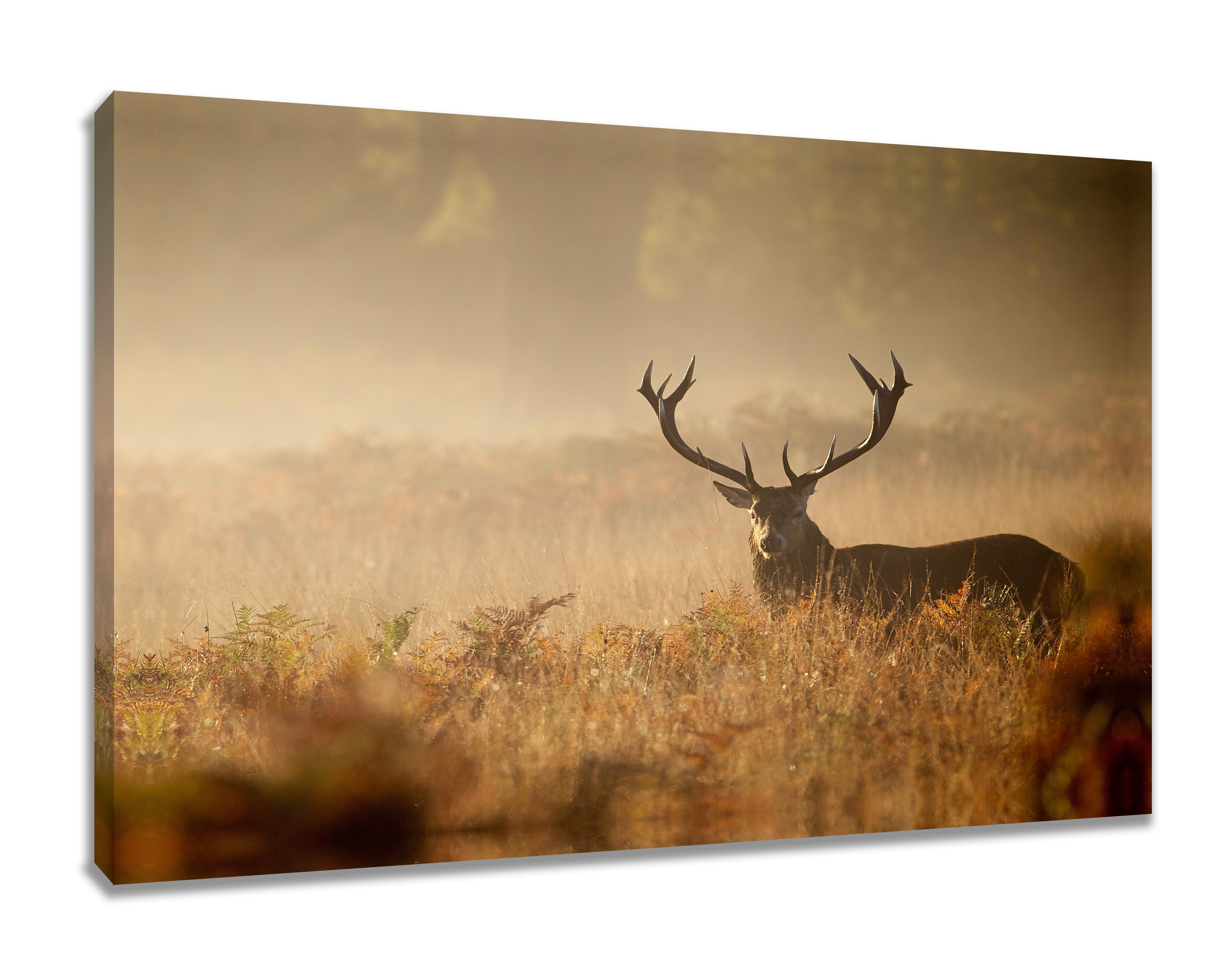 Visario Leinwandbild Wandbild auf Leinwand 80 günstig online kaufen