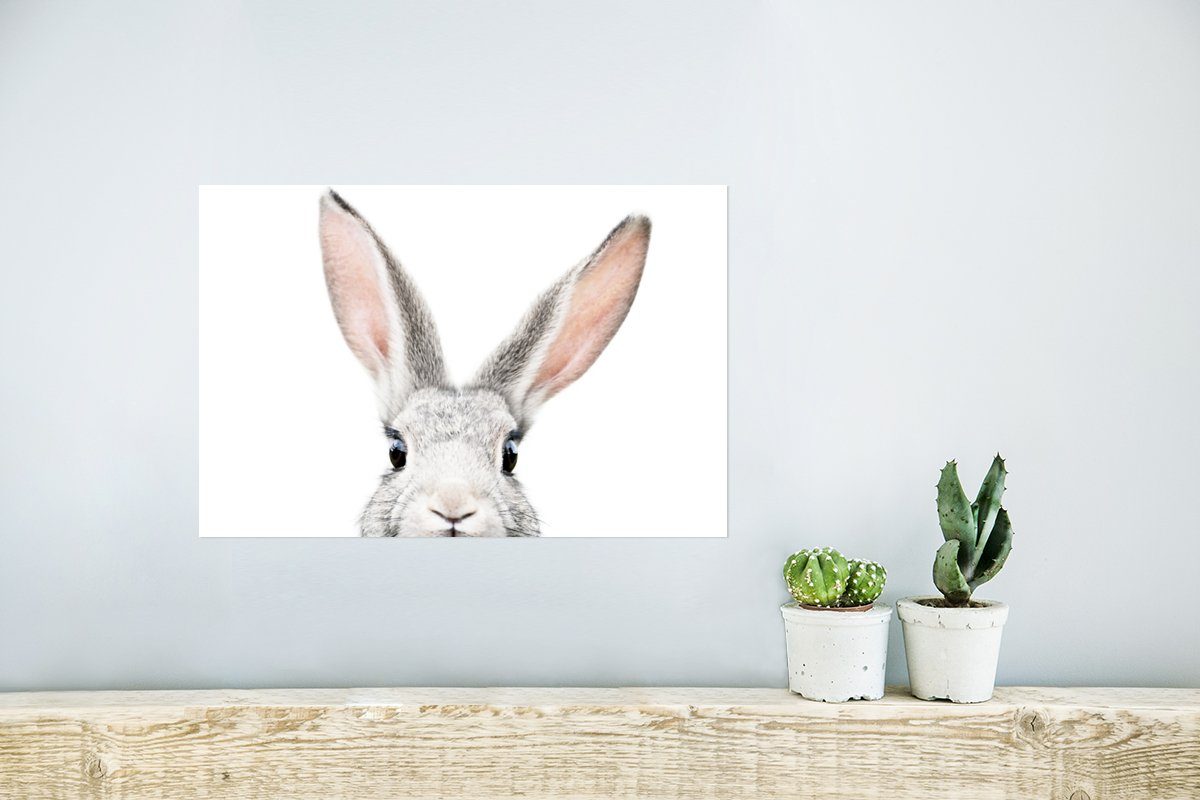 (1 Wandbild, Kaninchen Ohne - Wandposter - MuchoWow Poster, St), Wohnzimmer, Poster Weiß, Natur für Tiere Rahmen -
