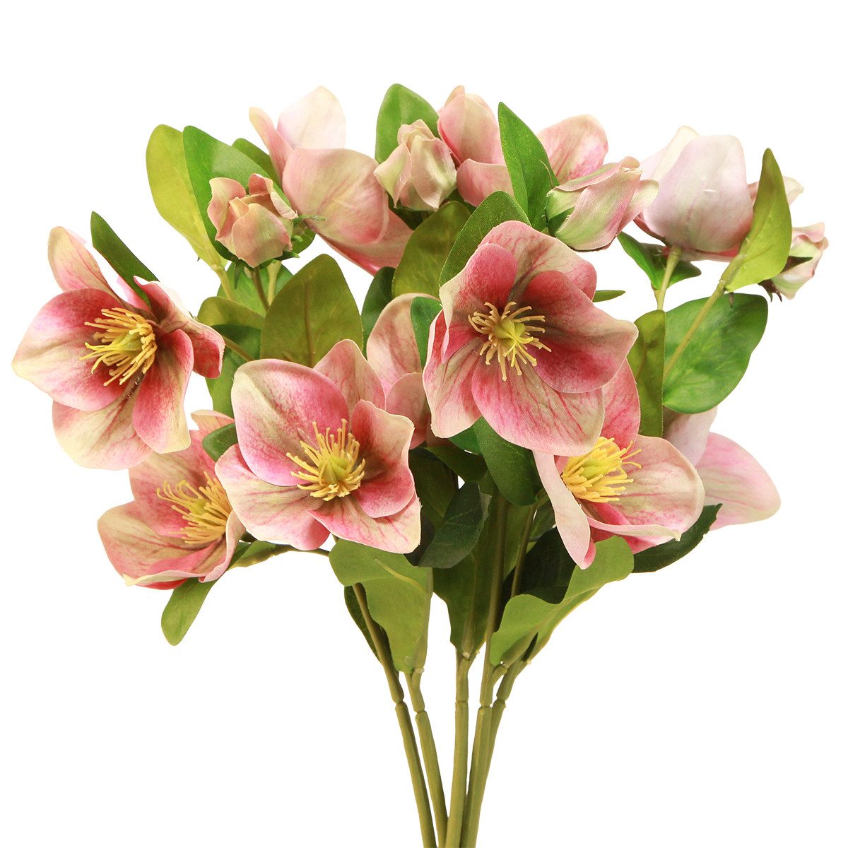 Winterliche Kunstpflanze Eleganter künstlicher Strauß Rosa Christrosen – 35 günstig online kaufen