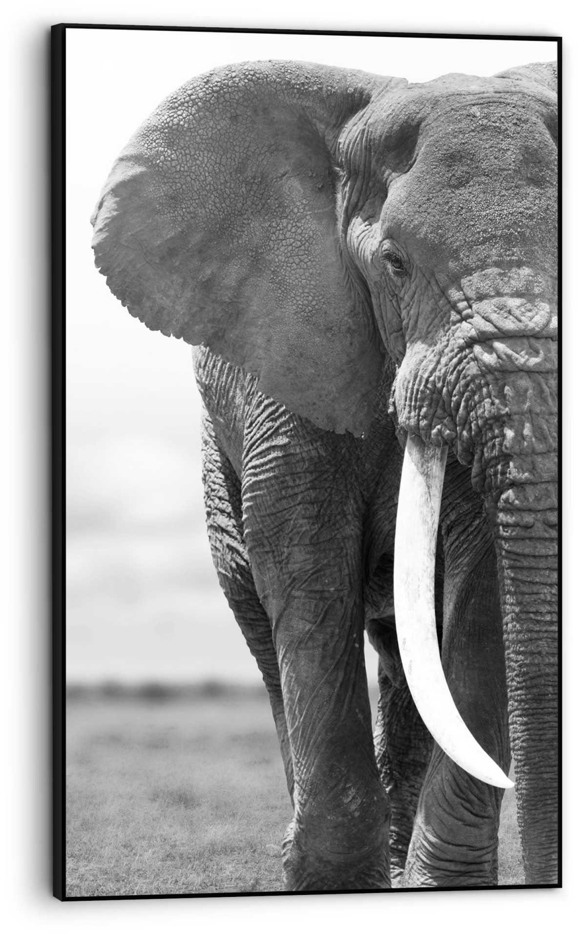 Reinders! Bild Gerahmtes Bild Kräftig (1 - Tiefkopf Stoßzähne - - St) Wildtiere, Elefanten Elefant