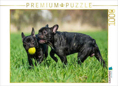 CALVENDO Puzzle CALVENDO Puzzle Französische Bulldogge - Welpen beim Spiel 1000 Teile Lege-Größe 64 x 48 cm Foto-Puzzle Bild von SiSta-Tierfoto, 1000 Puzzleteile