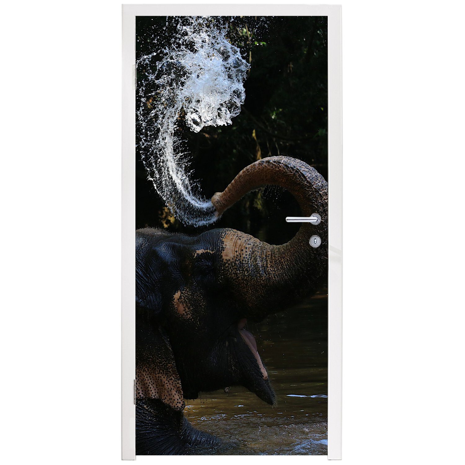 St), MuchoWow Elefant Matt, bedruckt, Rüssel Natur, cm - für (1 Fototapete 75x205 Tür, Wasser Tiere - - - Türtapete Türaufkleber,