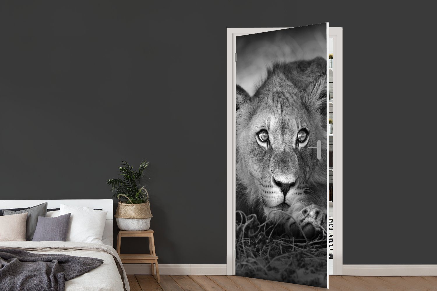 - Wildtiere Weiß, - Tür, Natur Fototapete bedruckt, Schwarz Löwe MuchoWow für St), Matt, (1 - Türaufkleber, Türtapete 75x205 - cm