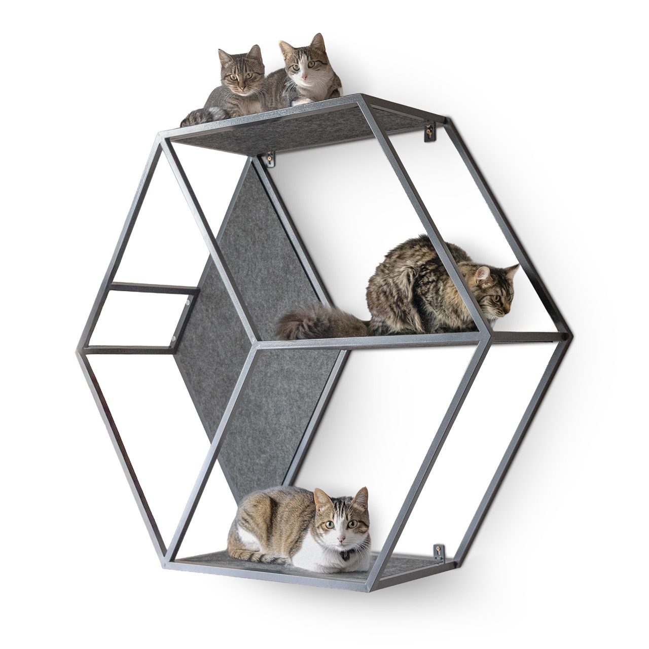 Canadian Cat Company Katzen-Wandregal HexaCat Katzenregal/Kratzbaum günstig online kaufen