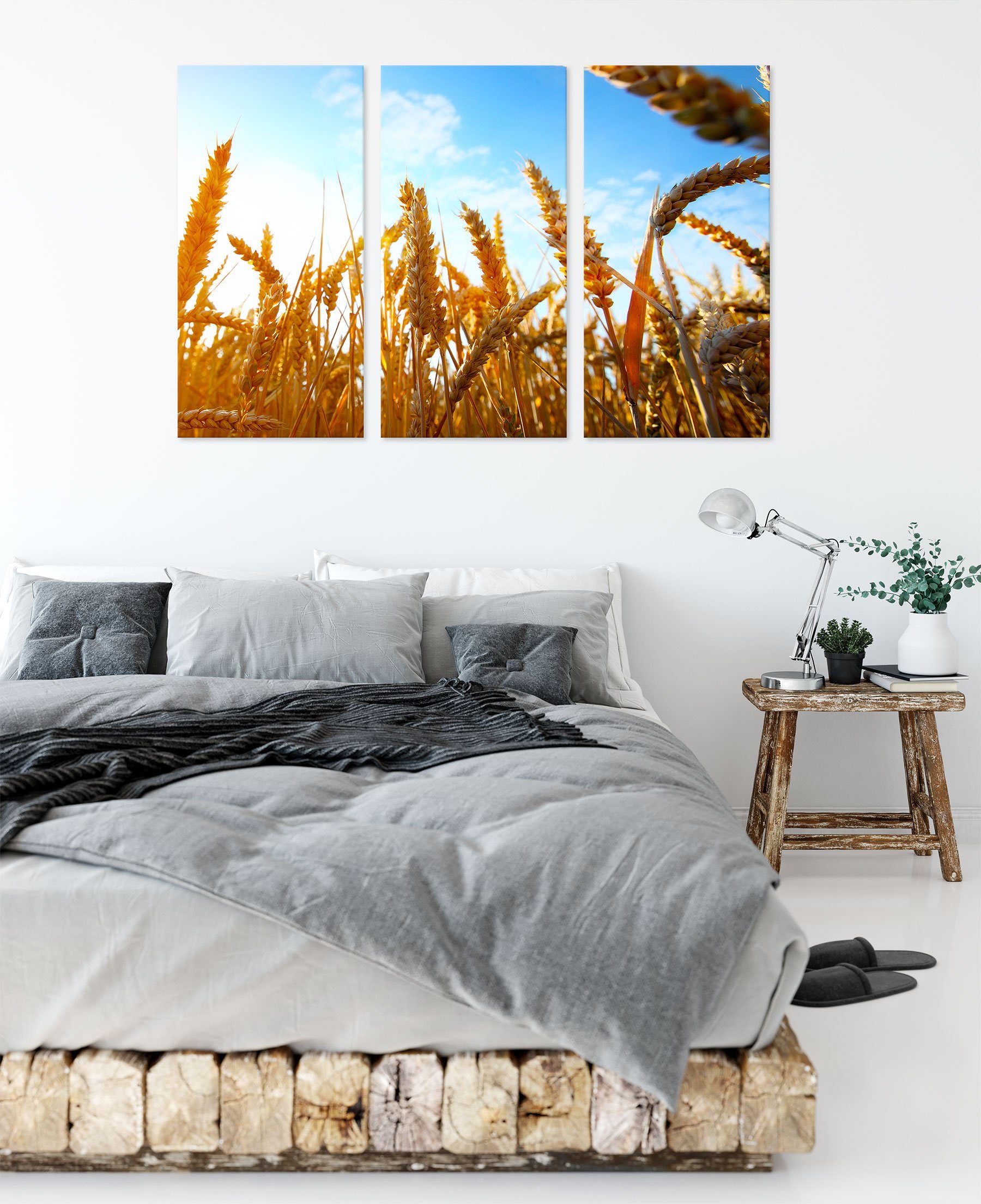inkl. Getreide Getreide Sonnenschein, Pixxprint bespannt, Leinwandbild Zackenaufhänger St), fertig im im (120x80cm) (1 3Teiler Sonnenschein Leinwandbild