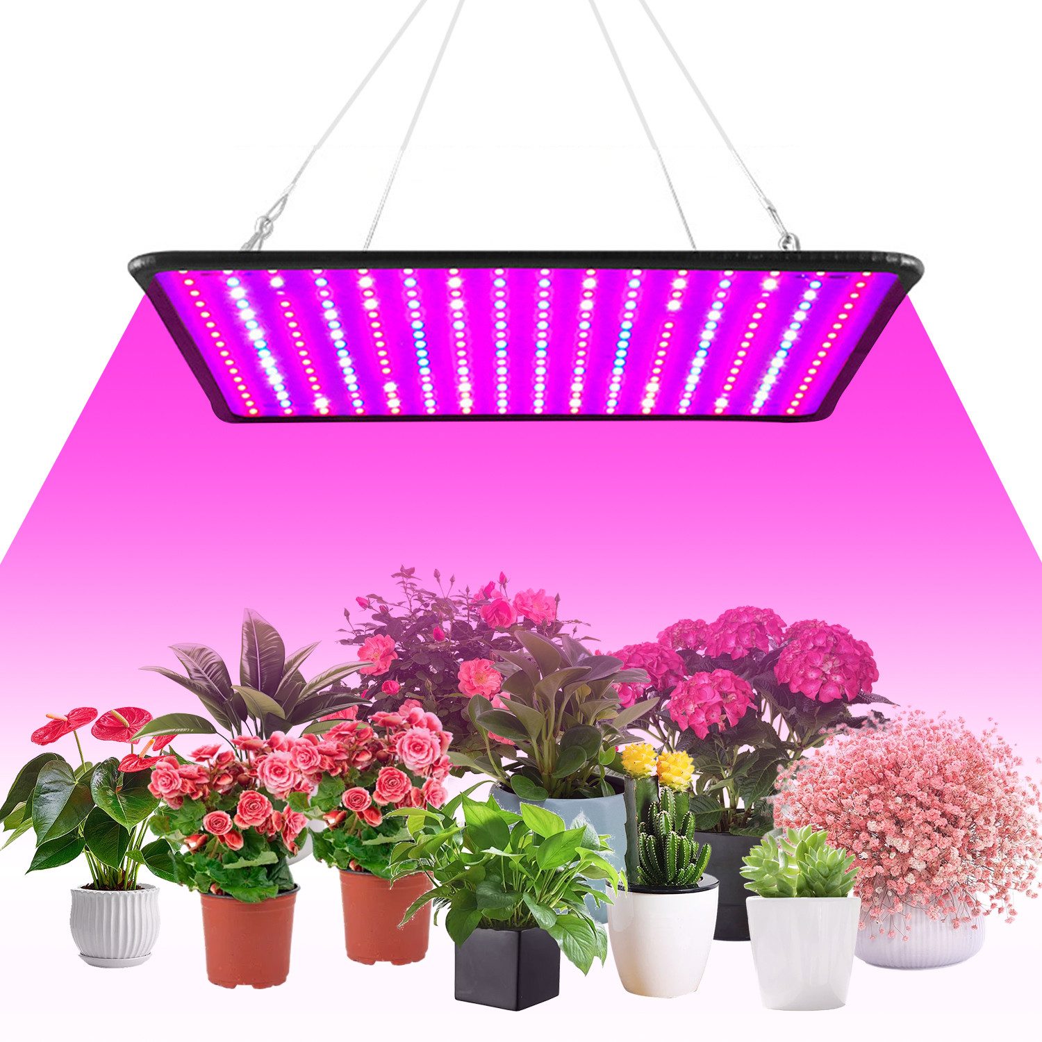DOPWii Pflanzenlampe 256 LEDs,IP20,295x295x30mm,Pflanzenlicht für Gewächshäuser,Gemüseanbau, 256 LEDs, LED fest integriert, Pflanzenlicht 27W,295x295x30 mm,Grow Lampe,Vollspektrum-Wachstumslicht