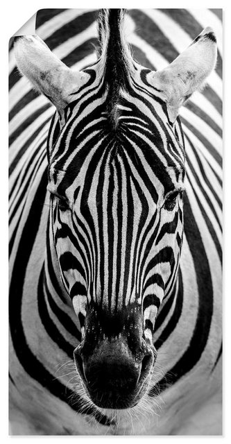 Artland Wandbild »Zebra«, Wildtiere (1 Stück), in vielen Größen & Produktarten - Alubild / Outdoorbild für den Außenbereich, Leinwandbild, Poster, Wandaufkleber / Wandtattoo auch für Badezimmer geeignet-Otto