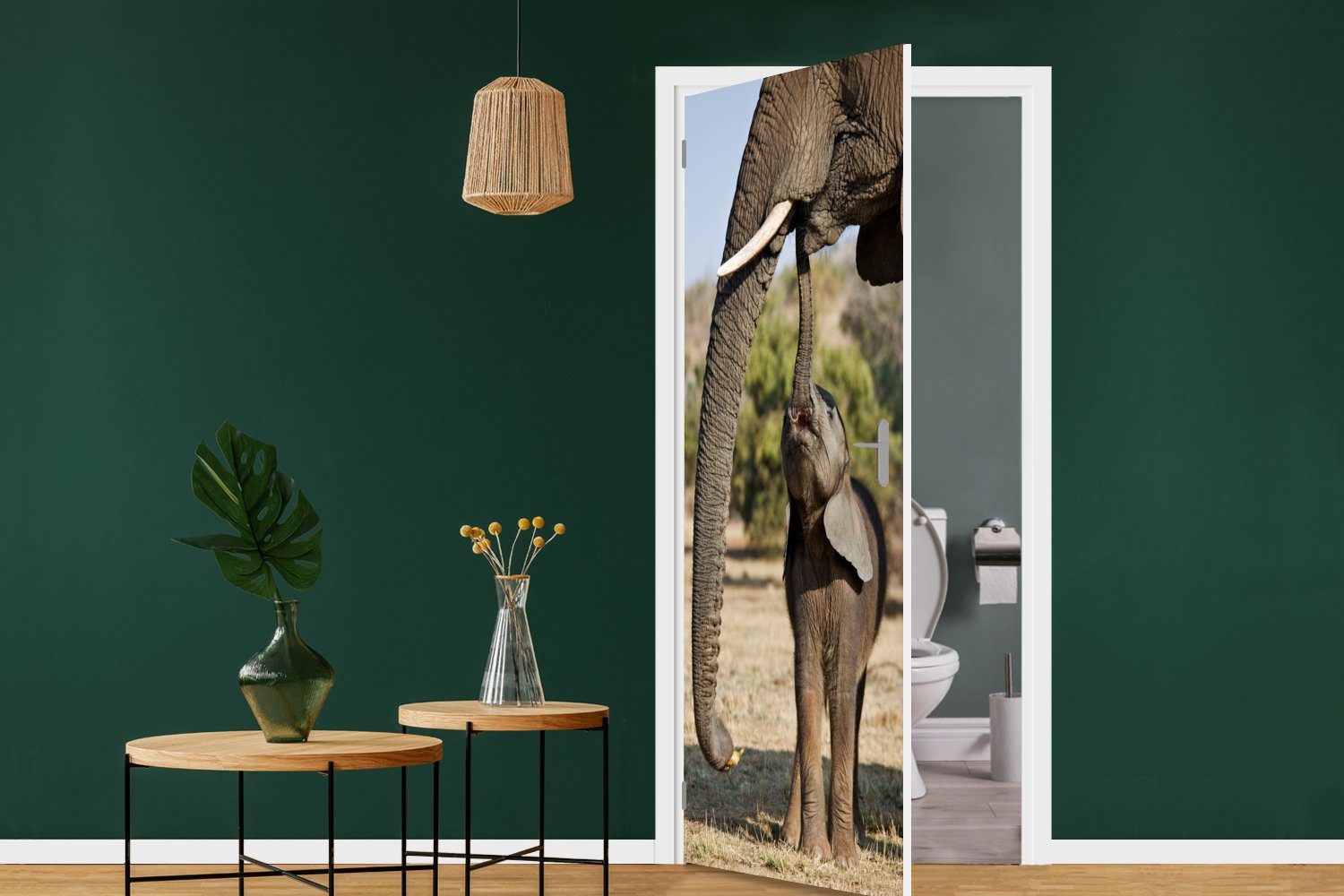 MuchoWow Türtapete Elefant - Tiere Fototapete Matt, Natur, Tür, - - Gras cm 75x205 St), Türaufkleber, bedruckt, (1 für
