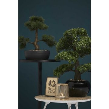 Kunstrasen Kunstpflanze Bonsai Ficus Grün 47 cm 420006, Emerald, Höhe: 47 mm