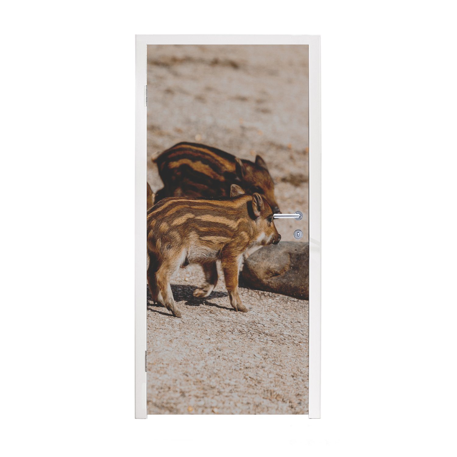 MuchoWow Türtapete Baby Wild, - - Matt, cm Fototapete für Wildschweine Türaufkleber, Tür, bedruckt, 75x205 (1 St)