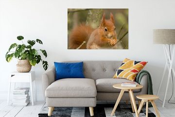 Pixxprint Leinwandbild Kleines Eichhörnchen, Kleines Eichhörnchen (1 St), Leinwandbild fertig bespannt, inkl. Zackenaufhänger