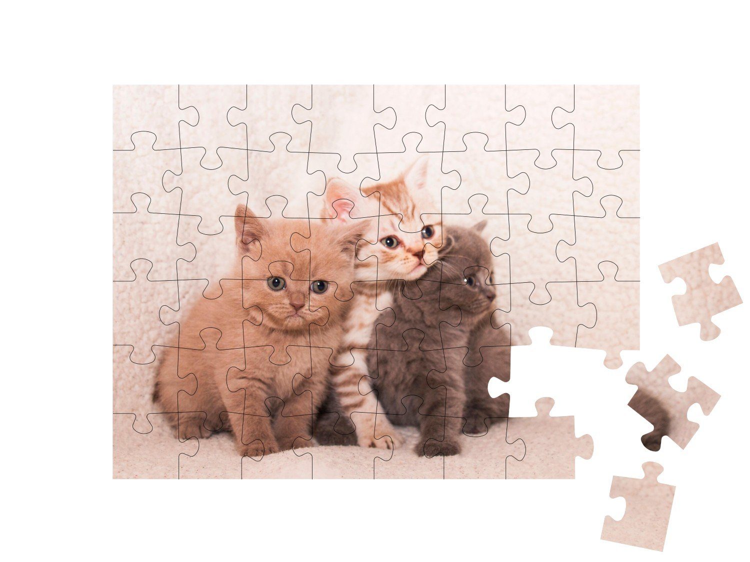 puzzleYOU Puzzle Drei 48 auf Puzzleteile, Plaid, einem puzzleYOU-Kollektionen Katzen-Puzzles Kätzchen weißen süße