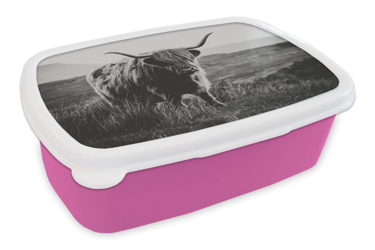 MuchoWow Lunchbox Schottischer Hochlandbewohner - Natur - Kühe - Tiere - Schwarz und, Kunststoff, (2-tlg), Brotbox für Erwachsene, Brotdose Kinder, Snackbox, Mädchen, Kunststoff rosa