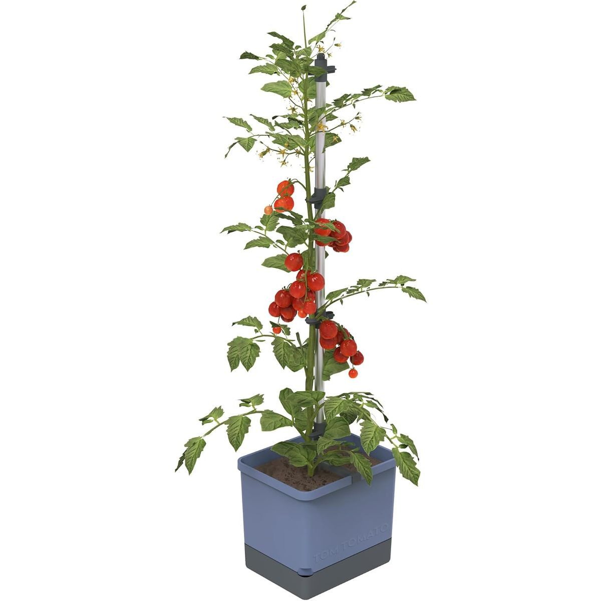 Gusta Garden Pflanzkübel TOM TOMATO (inkl. stabiler Rankhilfe und Bewässerungssystem), Tomatentopf für Balkon, Terrasse & Garten, blau
