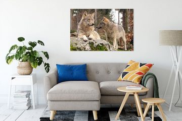 Pixxprint Leinwandbild Wölfe im Wald, Wölfe im Wald (1 St), Leinwandbild fertig bespannt, inkl. Zackenaufhänger