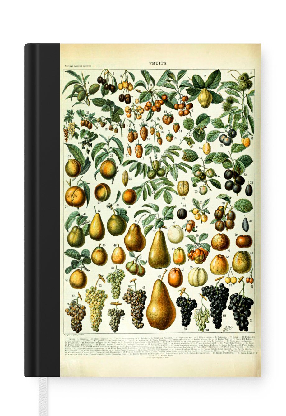 MuchoWow Notizbuch Adolphe Millot - Jahrgang - Obst - Birne - Trauben, Journal, Merkzettel, Tagebuch, Notizheft, A5, 98 Seiten, Haushaltsbuch