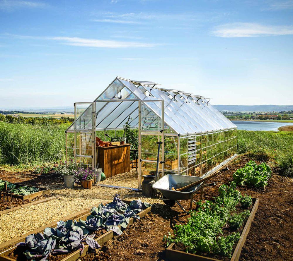 Palram - Canopia Gewächshaus, x 257  | ...