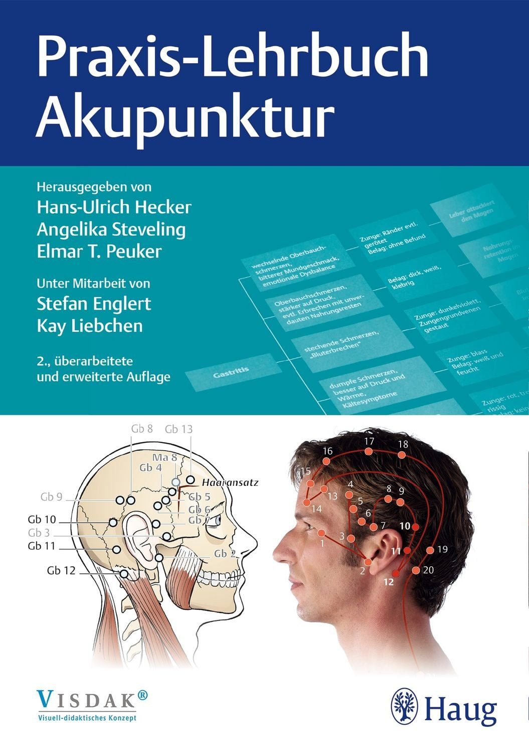 Praxis-Lehrbuch Akupunktur / diverse